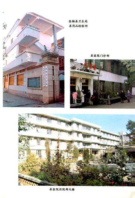《《弥勒县卫生志》》.pdf_云南省志预览图4
