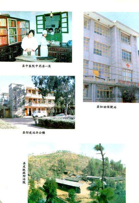 《《弥勒县卫生志》》.pdf_云南省志预览图5
