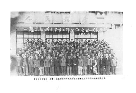 《鹤庆县城乡集体企业志(1950-1988)》.pdf_云南省志预览图2