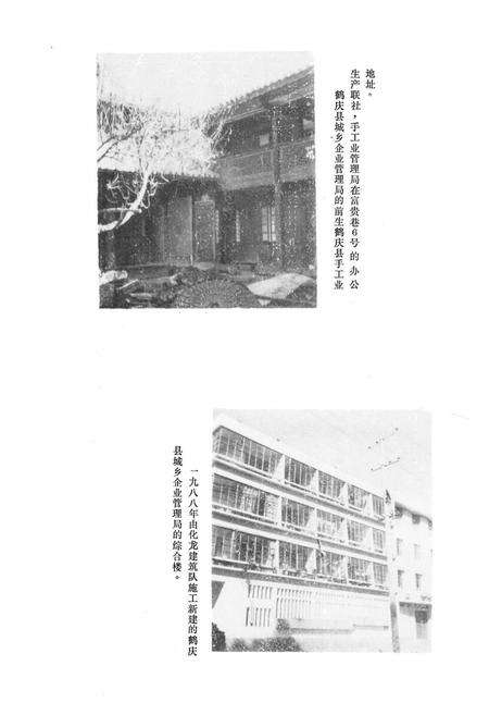 《鹤庆县城乡集体企业志(1950-1988)》.pdf_云南省志预览图3