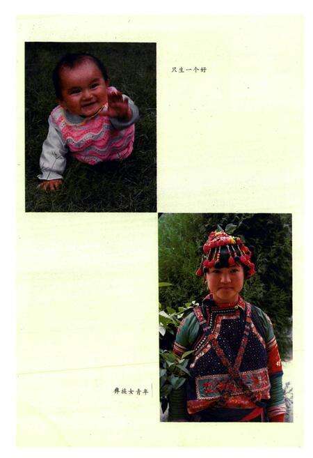 《巍山彝族回族自治县人口志(1912-1990)》.pdf_云南省志预览图3