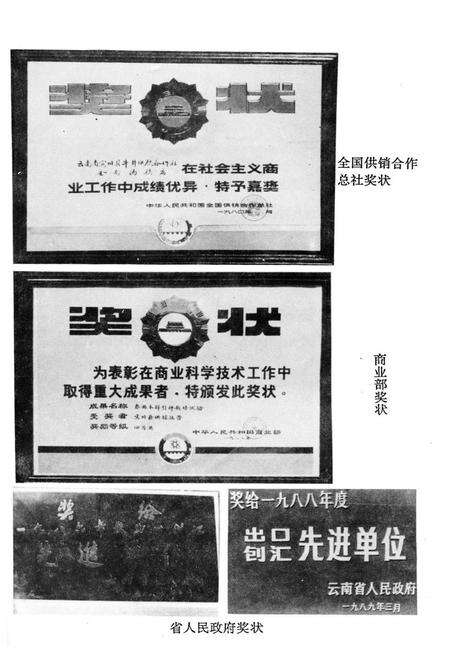 《《宾川县供销合作社志(1952-1988)》》.pdf_云南省志预览图3