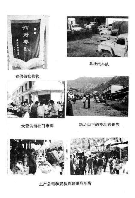 《《宾川县供销合作社志(1952-1988)》》.pdf_云南省志预览图4
