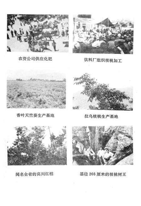 《《宾川县供销合作社志(1952-1988)》》.pdf_云南省志预览图5