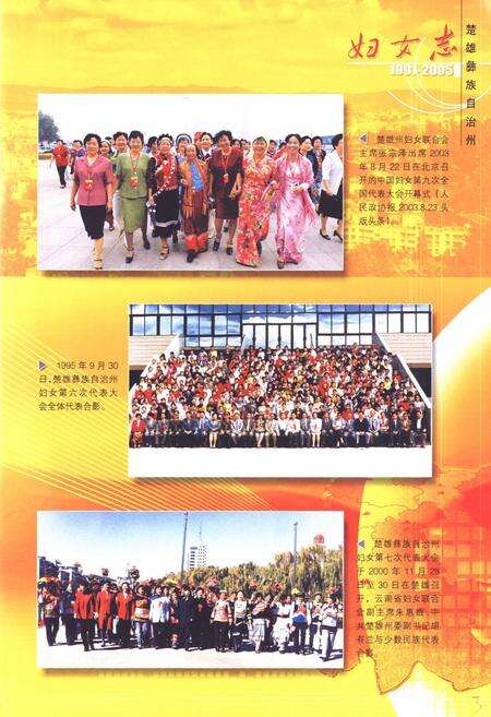 《《楚雄彝族自治州妇女志(1991-2005)》》.pdf_云南省志预览图4