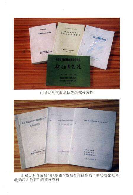 《禄劝彝族苗族自治县气象志》.pdf_云南省志预览图4