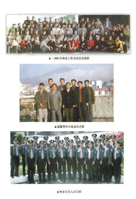 《临沧县林业志》.pdf_云南省志预览图3