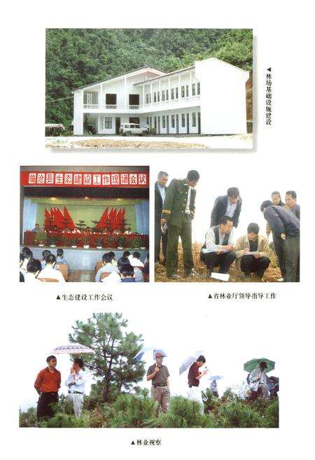 《临沧县林业志》.pdf_云南省志预览图4