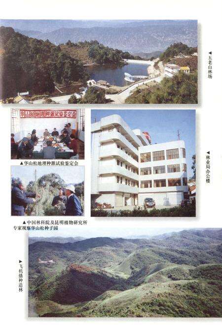 《临沧县林业志》.pdf_云南省志预览图5