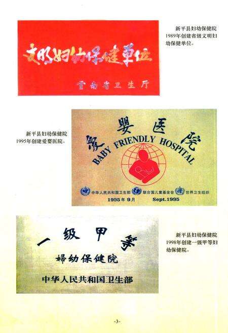 《《新平彝族傣族自治县妇幼卫生志》》.pdf_云南省志预览图5