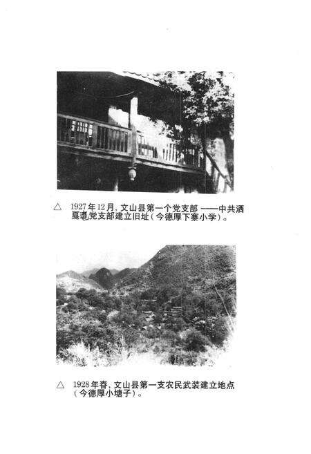 《《文山县政党志》(1927.3-1993.12)》.pdf_云南省志预览图3