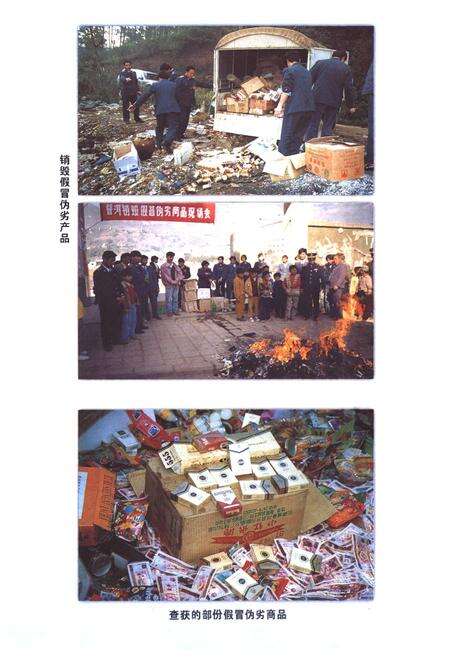 《普洱哈尼族彝族自治县工商行政管理志》.pdf_云南省志预览图5