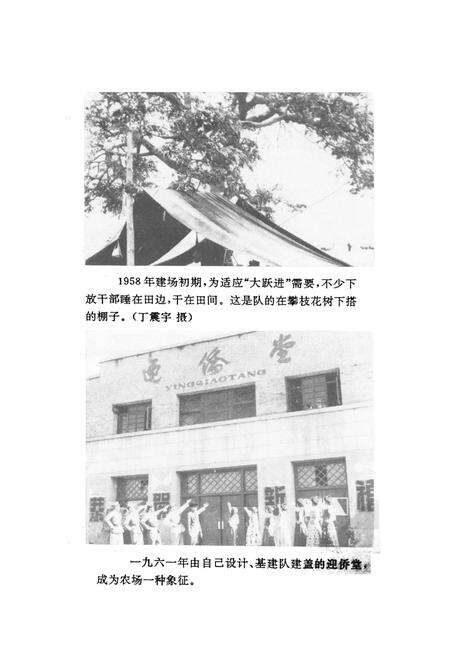 《宾川县国营太和华侨农场场志(1958-1990)》.pdf_云南省志预览图2