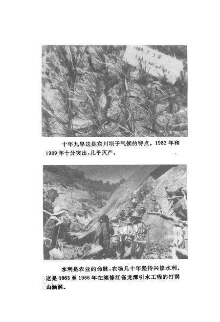 《宾川县国营太和华侨农场场志(1958-1990)》.pdf_云南省志预览图3