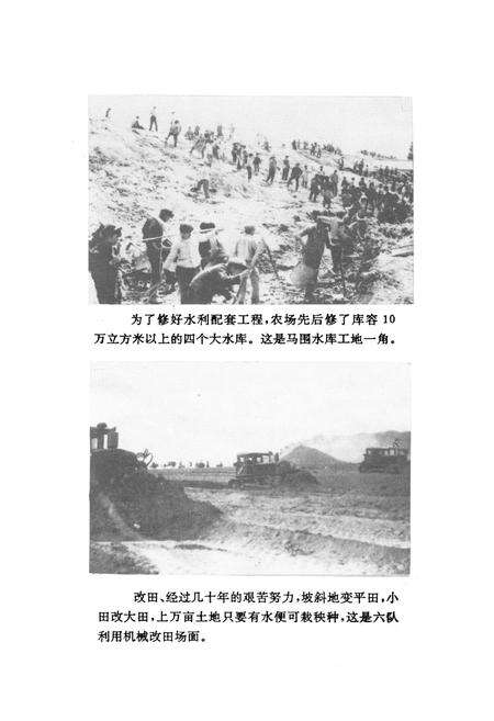 《宾川县国营太和华侨农场场志(1958-1990)》.pdf_云南省志预览图4