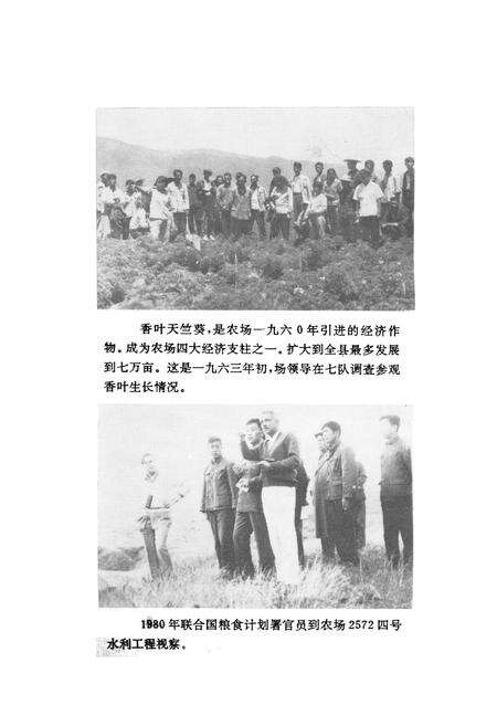 《宾川县国营太和华侨农场场志(1958-1990)》.pdf_云南省志预览图5