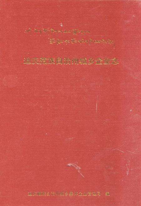 《迪庆藏族自治州城乡企业志》.pdf_云南省志缩略图