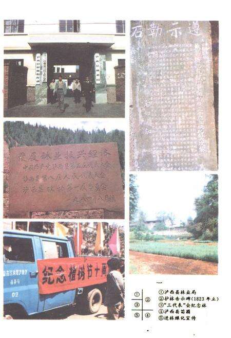 《《泸西县林业志》》.pdf_云南省志预览图3