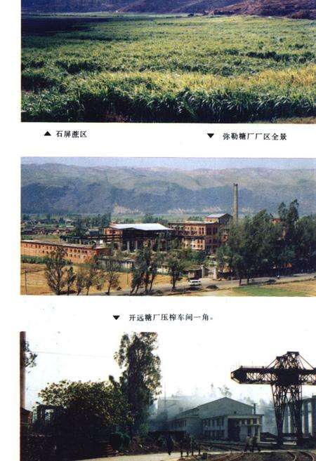 《红河哈尼族彝族自治州轻工业志》.pdf_云南省志预览图2