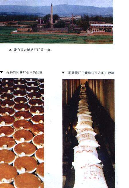 《红河哈尼族彝族自治州轻工业志》.pdf_云南省志预览图3