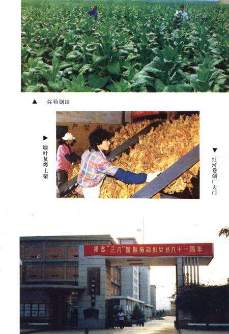 《红河哈尼族彝族自治州轻工业志》.pdf_云南省志预览图4