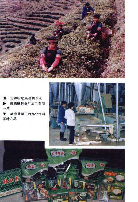 《红河哈尼族彝族自治州轻工业志》.pdf_云南省志预览图5