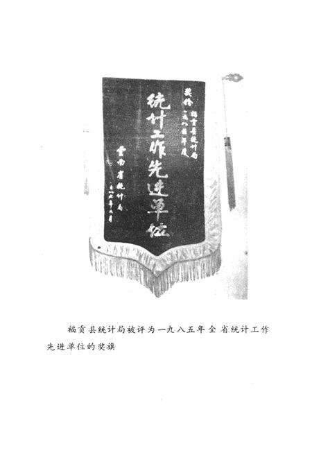 《《福贡县统计志》》.pdf_云南省志预览图4