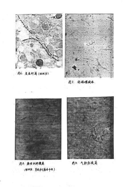 《《云南省德宏州畜禽疫病志》》.pdf_云南省志预览图3