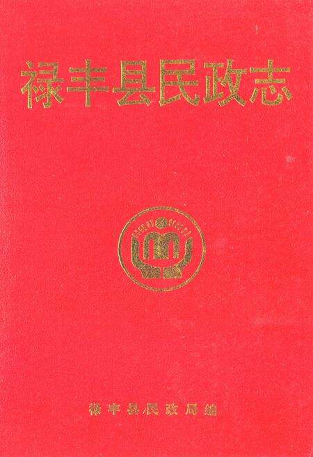 《禄丰县民政志》.pdf_云南省志缩略图