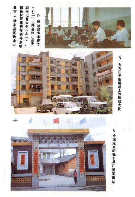 《禄丰县民政志》.pdf_云南省志预览图5