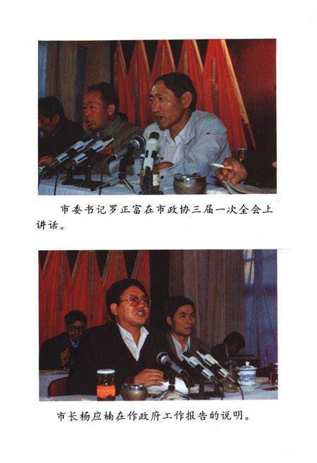《《楚雄市政协志(1984-1994)》》.pdf_云南省志预览图3