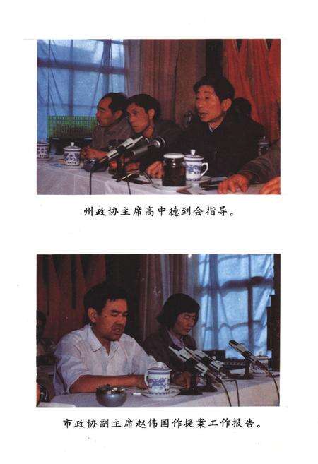 《《楚雄市政协志(1984-1994)》》.pdf_云南省志预览图5