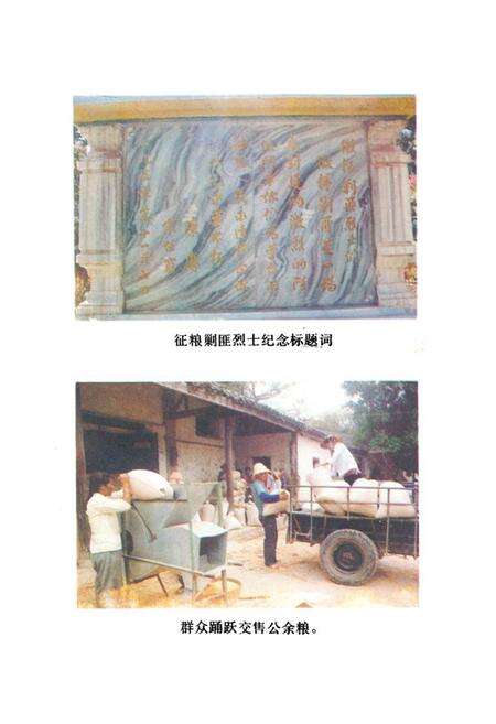 《《新平县粮油志》》.pdf_云南省志预览图1