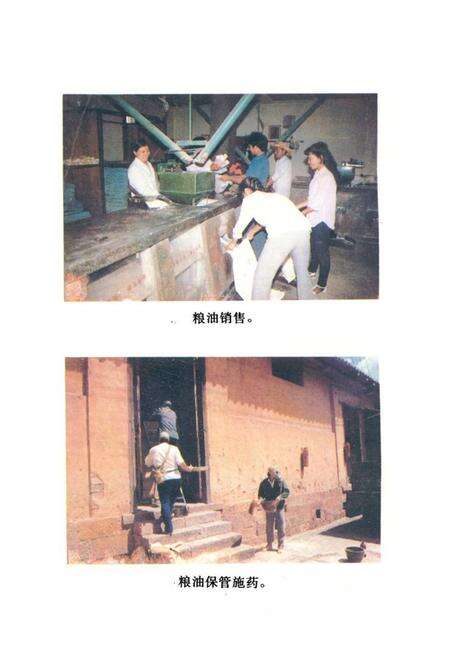 《《新平县粮油志》》.pdf_云南省志预览图2