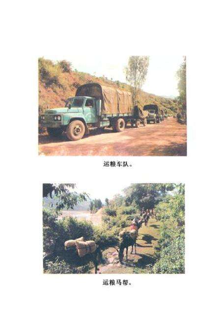 《《新平县粮油志》》.pdf_云南省志预览图3