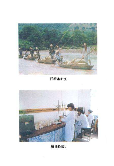 《《新平县粮油志》》.pdf_云南省志预览图4