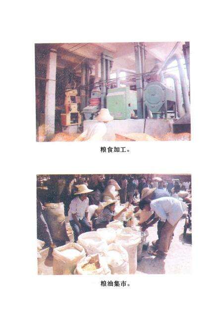 《《新平县粮油志》》.pdf_云南省志预览图5