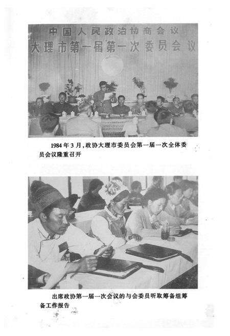 《大理市政协志(1950-1995)》.pdf_云南省志预览图3