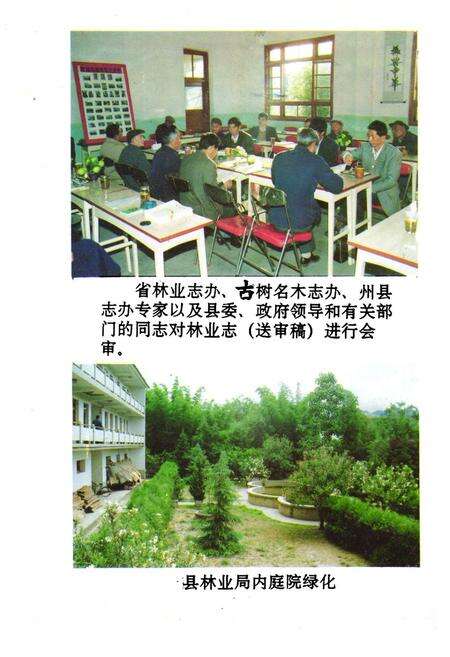 《巍山彝族回族自治县林业志》.pdf_云南省志预览图3