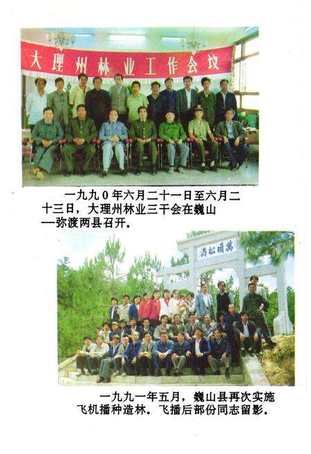 《巍山彝族回族自治县林业志》.pdf_云南省志预览图4