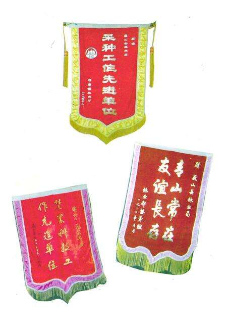 《巍山彝族回族自治县林业志》.pdf_云南省志预览图5