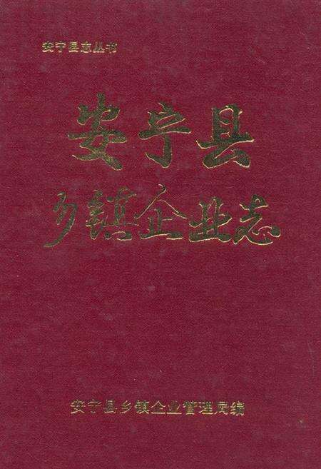 《安宁县乡镇企业志》.pdf_云南省志缩略图