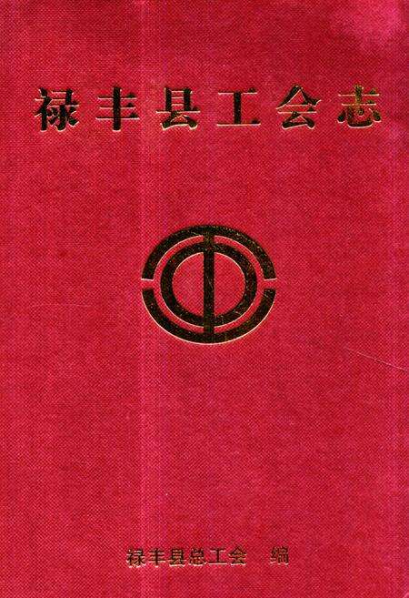 《禄丰县工会志》.pdf_云南省志缩略图