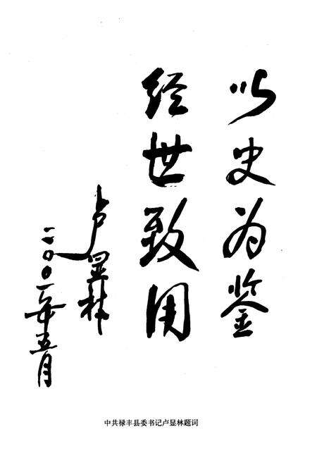 《禄丰县工会志》.pdf_云南省志预览图3