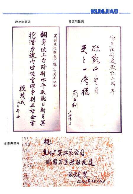 《《昆明焦化制气厂志(1985-1995)》》.pdf_云南省志预览图5