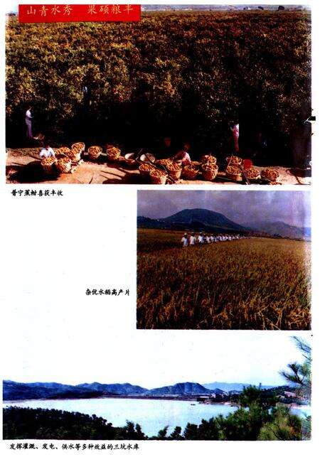 《普宁县财政志》.pdf_云南省志预览图4