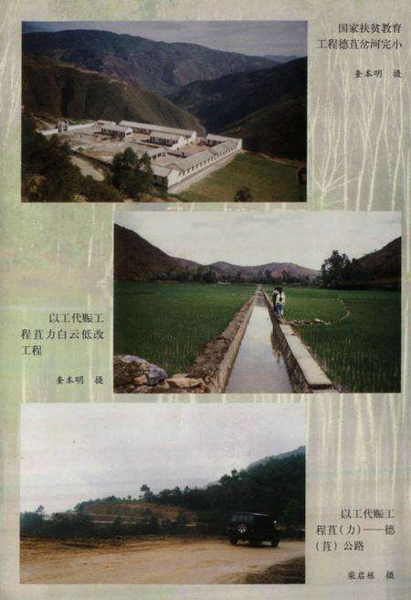 《弥渡县计划志(1956-2001)》.pdf_云南省志预览图5