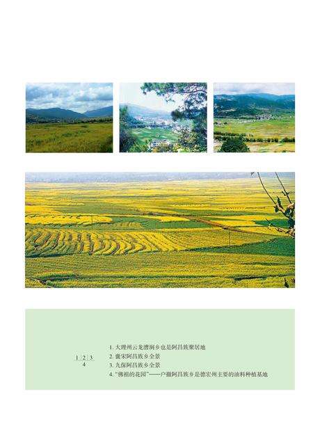 《当代云南阿昌族简史》.pdf_云南省志预览图2