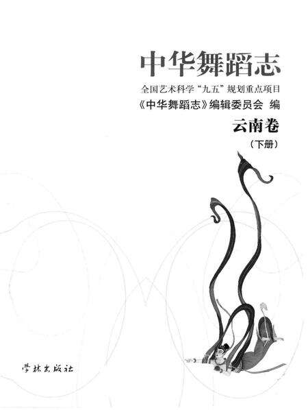《中华舞蹈志 云南卷 下册》.pdf_云南省志预览图1