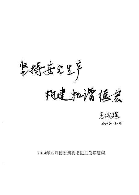 《德宏州安监志(2003-2013)》.pdf_云南省志预览图3